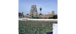 39. திருப்பனந்தாள்